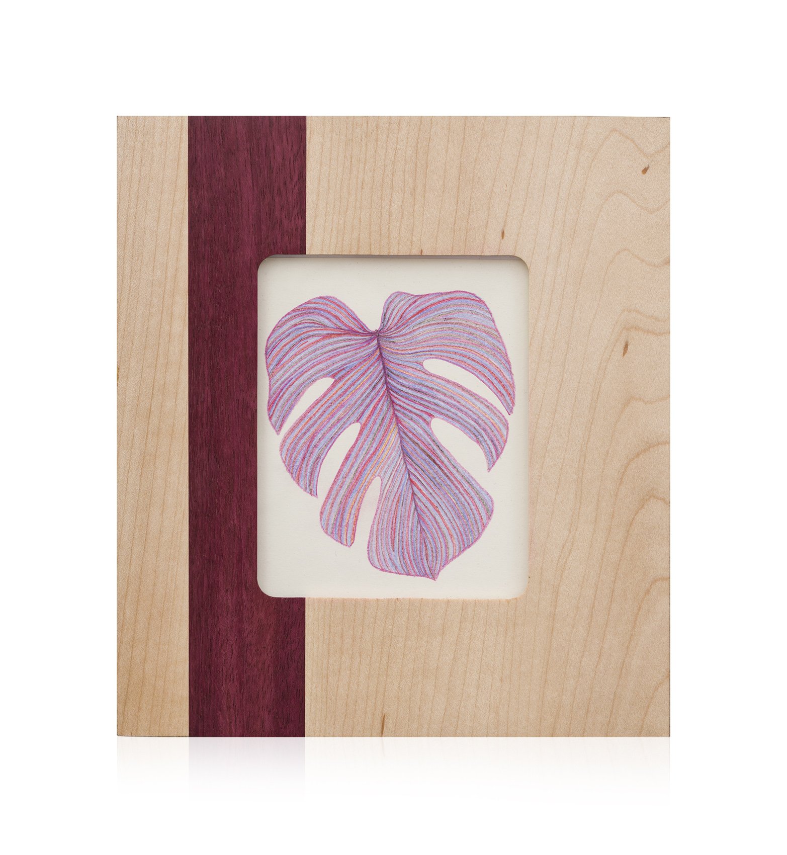 Monstera Drawing Solo 3_1